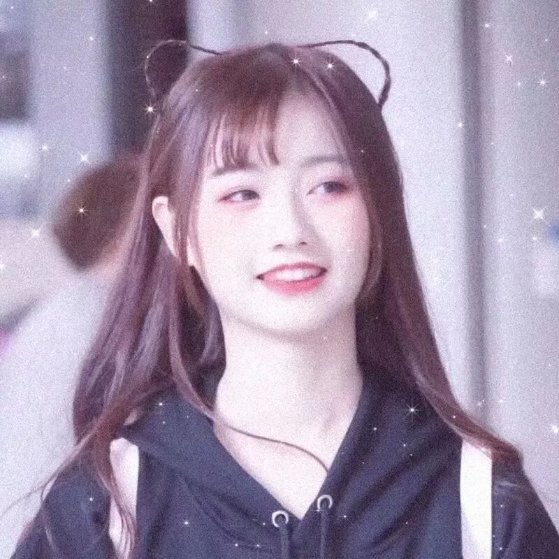 我家来了个小房客